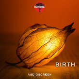 Nature - Birth