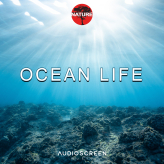 Nature - Ocean Life