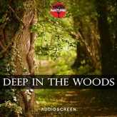 Nature - Deep in the Woods