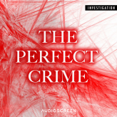 Investigation - The Perfect Crime