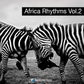Africa Rhythms vol.2