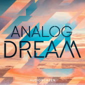 Analog Dream