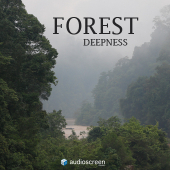 Forest Deepness