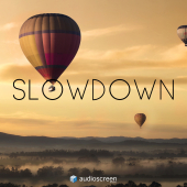 Slowdown