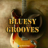 Bluesy Grooves