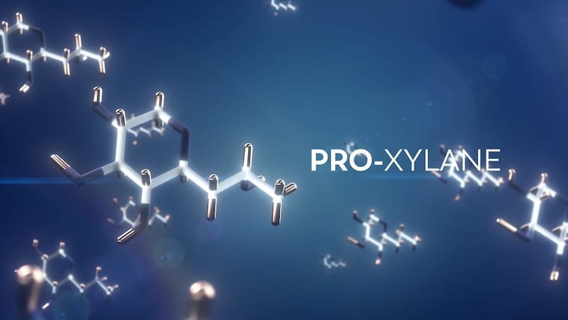 L'Oréal - PRO-XYLANE