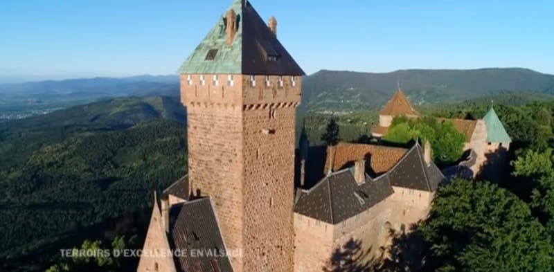 DES RACINES ET DES AILES - Terroirs d'excellence en Alsace