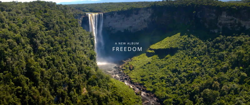 Freedom